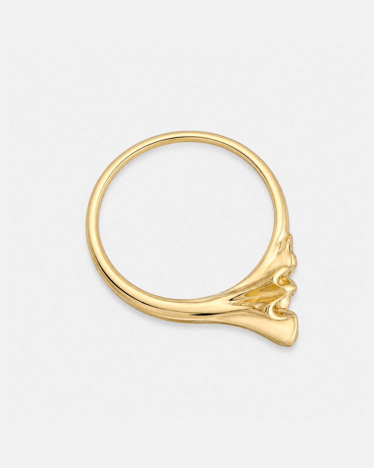 Michelle Ring